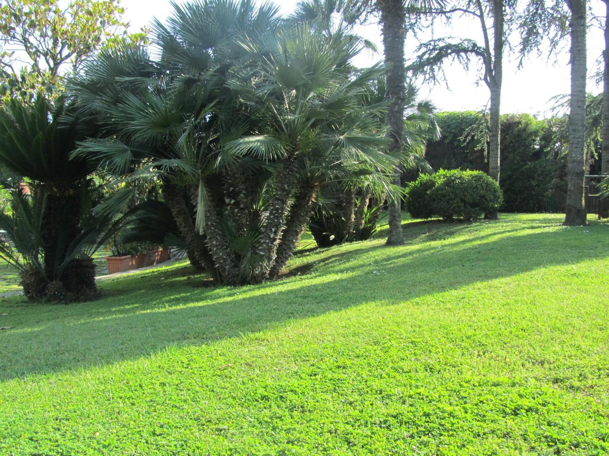 פומפיי Hotel Giovanna מראה חיצוני תמונה